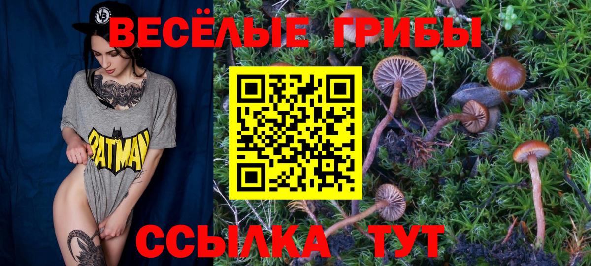 Галлюциногенные грибы Psilocybine cubensis  Галлюциногенные грибы прущие грибы  Михайловск  Вход с VPN 